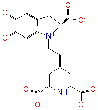 PAMDB120005