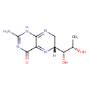 PAMDB120052