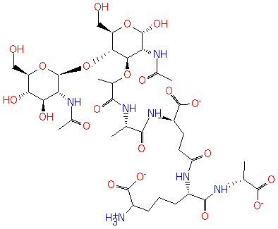 PAMDB120111